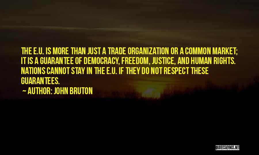 John Bruton Quotes: The E.u. Is More Than Just A Trade Organization Or A Common Market; It Is A Guarantee Of Democracy, Freedom,