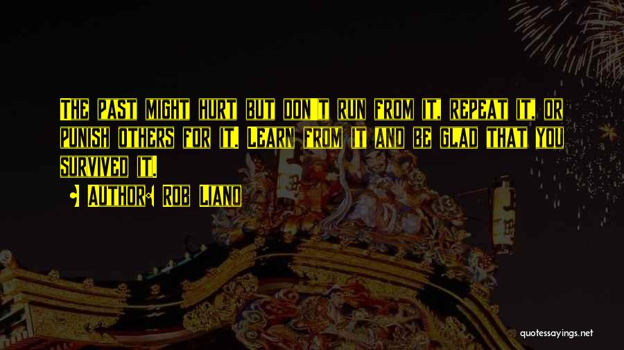 Rob Liano Quotes: The Past Might Hurt But Don't Run From It, Repeat It, Or Punish Others For It. Learn From It And