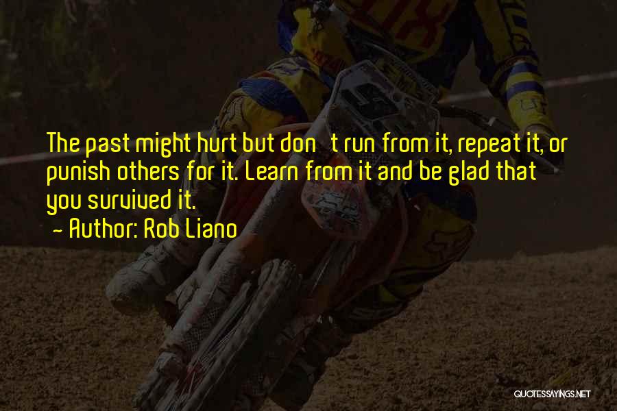 Rob Liano Quotes: The Past Might Hurt But Don't Run From It, Repeat It, Or Punish Others For It. Learn From It And