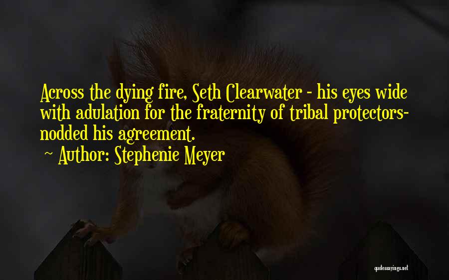 Stephenie Meyer Quotes: Across The Dying Fire, Seth Clearwater - His Eyes Wide With Adulation For The Fraternity Of Tribal Protectors- Nodded His