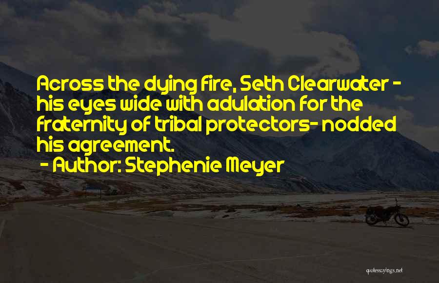 Stephenie Meyer Quotes: Across The Dying Fire, Seth Clearwater - His Eyes Wide With Adulation For The Fraternity Of Tribal Protectors- Nodded His