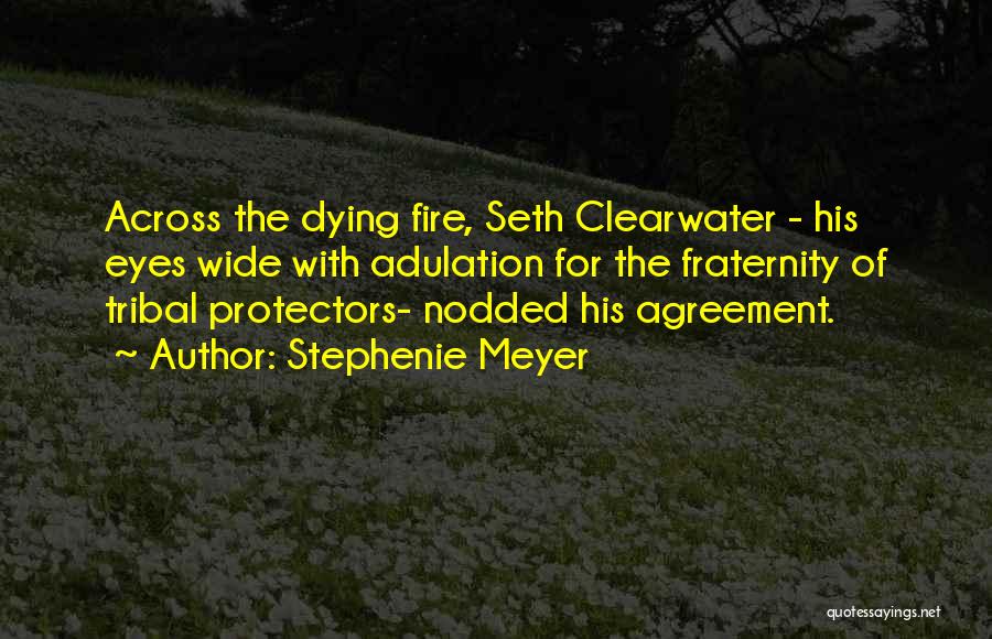Stephenie Meyer Quotes: Across The Dying Fire, Seth Clearwater - His Eyes Wide With Adulation For The Fraternity Of Tribal Protectors- Nodded His