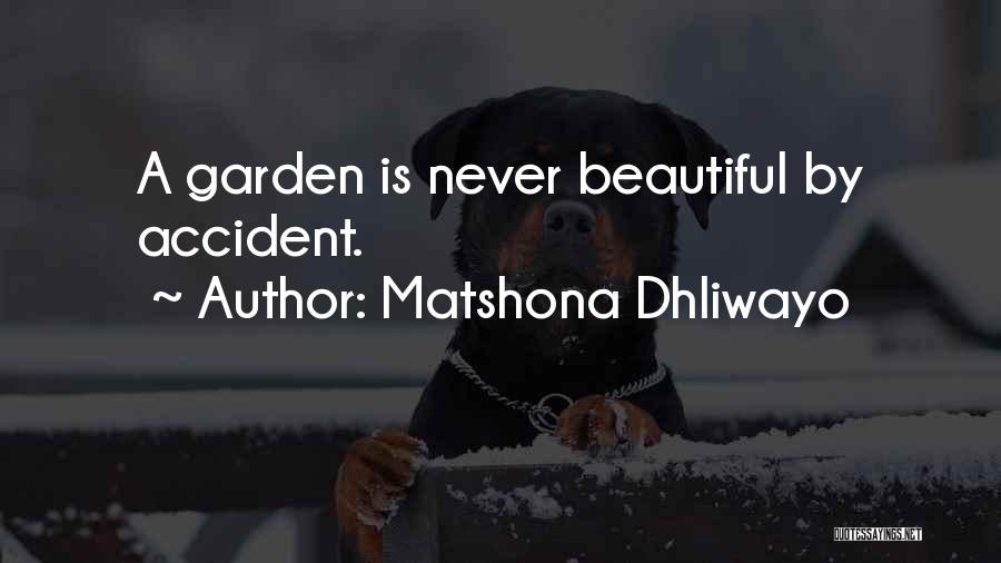 Matshona Dhliwayo Quotes: A Garden Is Never Beautiful By Accident.