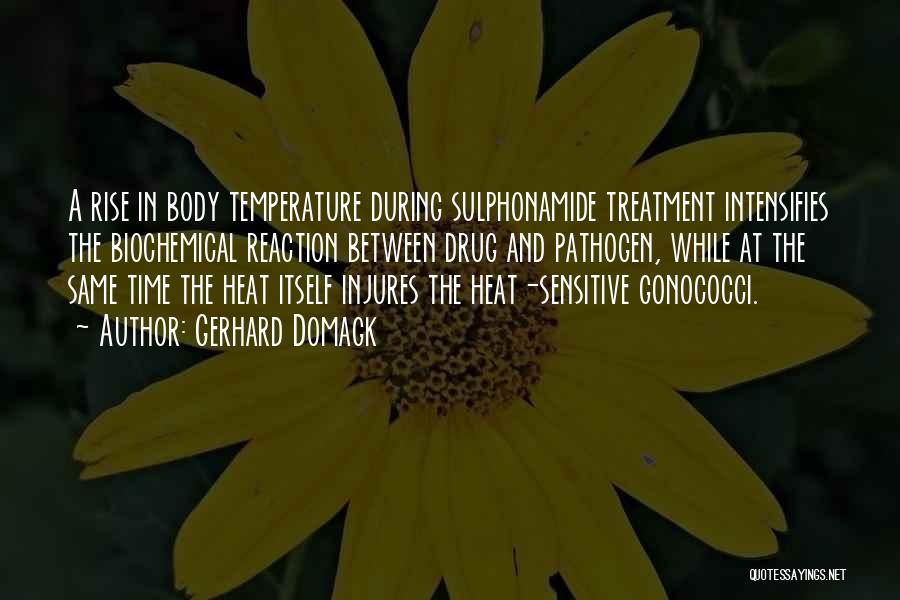 Gerhard Domagk Quotes: A Rise In Body Temperature During Sulphonamide Treatment Intensifies The Biochemical Reaction Between Drug And Pathogen, While At The Same