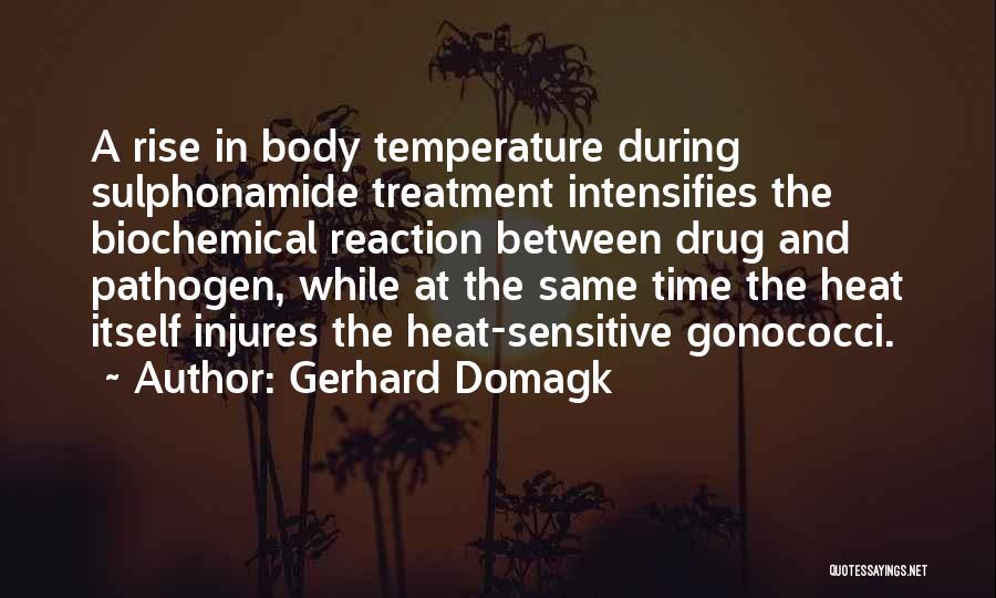 Gerhard Domagk Quotes: A Rise In Body Temperature During Sulphonamide Treatment Intensifies The Biochemical Reaction Between Drug And Pathogen, While At The Same