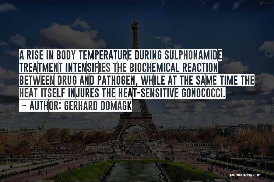 Gerhard Domagk Quotes: A Rise In Body Temperature During Sulphonamide Treatment Intensifies The Biochemical Reaction Between Drug And Pathogen, While At The Same