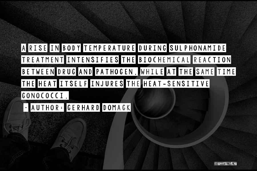Gerhard Domagk Quotes: A Rise In Body Temperature During Sulphonamide Treatment Intensifies The Biochemical Reaction Between Drug And Pathogen, While At The Same
