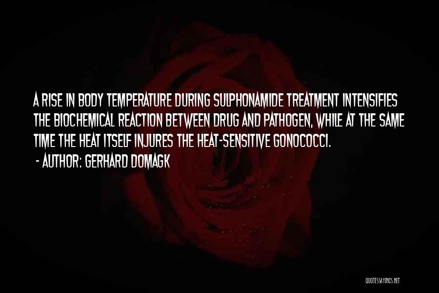 Gerhard Domagk Quotes: A Rise In Body Temperature During Sulphonamide Treatment Intensifies The Biochemical Reaction Between Drug And Pathogen, While At The Same