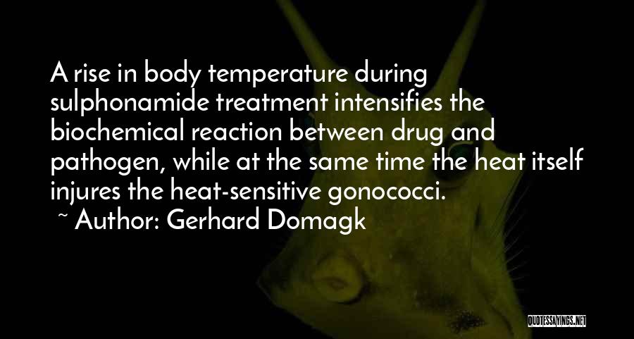 Gerhard Domagk Quotes: A Rise In Body Temperature During Sulphonamide Treatment Intensifies The Biochemical Reaction Between Drug And Pathogen, While At The Same