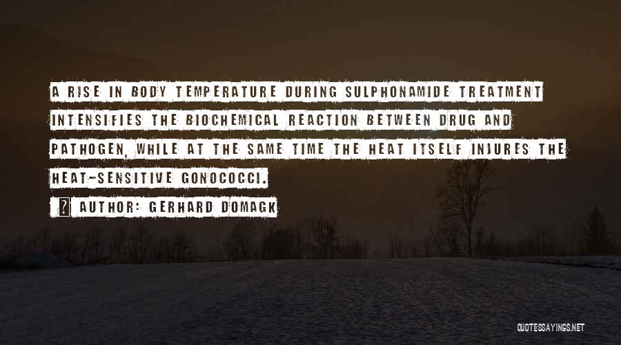 Gerhard Domagk Quotes: A Rise In Body Temperature During Sulphonamide Treatment Intensifies The Biochemical Reaction Between Drug And Pathogen, While At The Same