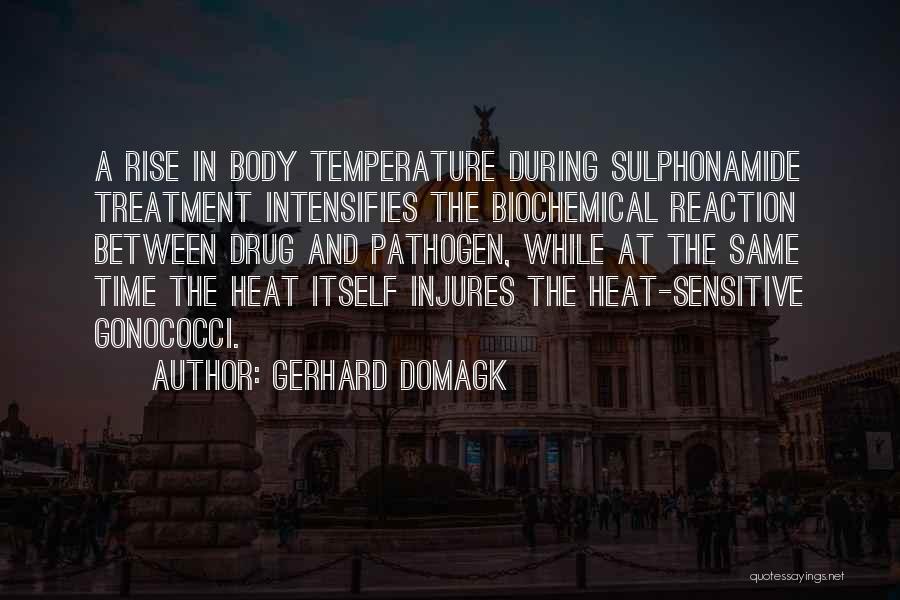 Gerhard Domagk Quotes: A Rise In Body Temperature During Sulphonamide Treatment Intensifies The Biochemical Reaction Between Drug And Pathogen, While At The Same