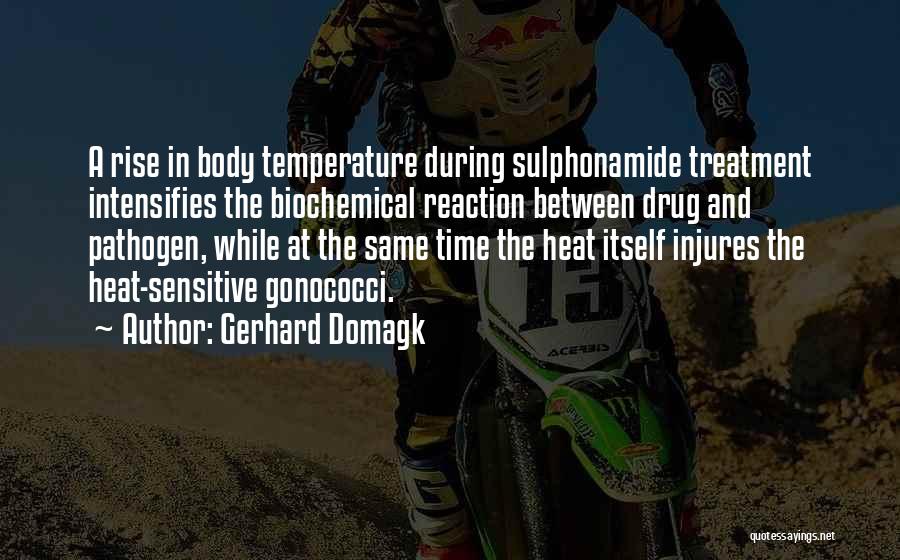 Gerhard Domagk Quotes: A Rise In Body Temperature During Sulphonamide Treatment Intensifies The Biochemical Reaction Between Drug And Pathogen, While At The Same