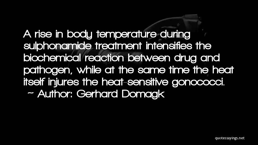 Gerhard Domagk Quotes: A Rise In Body Temperature During Sulphonamide Treatment Intensifies The Biochemical Reaction Between Drug And Pathogen, While At The Same