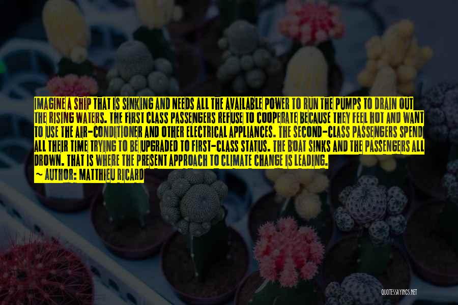 Matthieu Ricard Quotes: Imagine A Ship That Is Sinking And Needs All The Available Power To Run The Pumps To Drain Out The