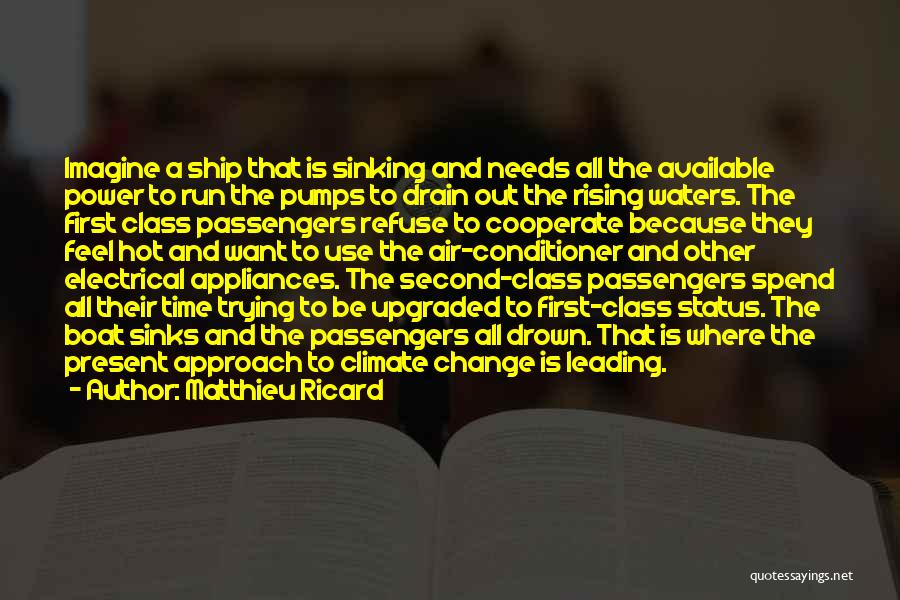 Matthieu Ricard Quotes: Imagine A Ship That Is Sinking And Needs All The Available Power To Run The Pumps To Drain Out The