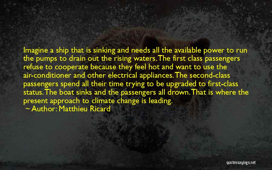 Matthieu Ricard Quotes: Imagine A Ship That Is Sinking And Needs All The Available Power To Run The Pumps To Drain Out The