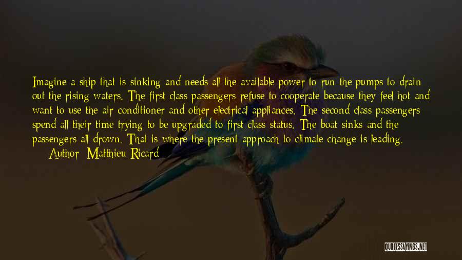 Matthieu Ricard Quotes: Imagine A Ship That Is Sinking And Needs All The Available Power To Run The Pumps To Drain Out The