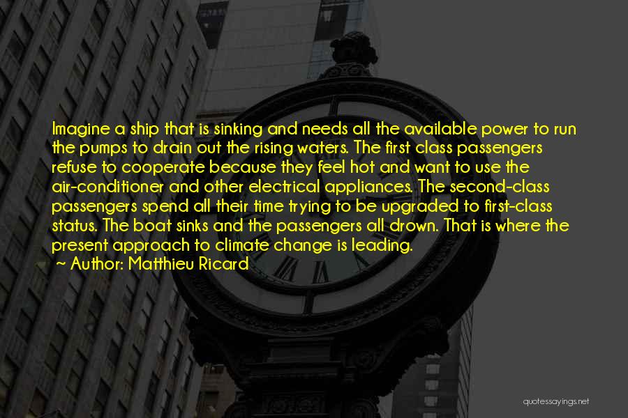 Matthieu Ricard Quotes: Imagine A Ship That Is Sinking And Needs All The Available Power To Run The Pumps To Drain Out The