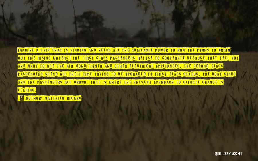Matthieu Ricard Quotes: Imagine A Ship That Is Sinking And Needs All The Available Power To Run The Pumps To Drain Out The