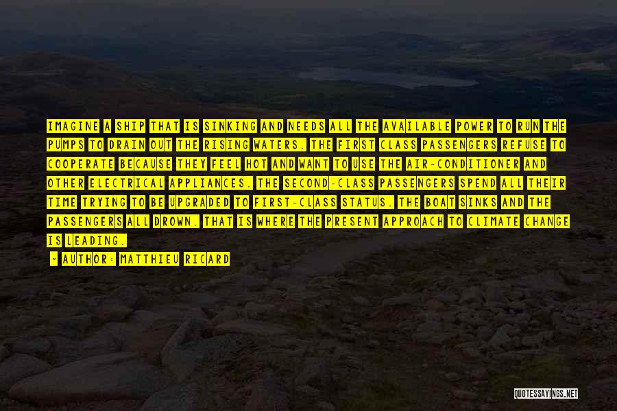 Matthieu Ricard Quotes: Imagine A Ship That Is Sinking And Needs All The Available Power To Run The Pumps To Drain Out The