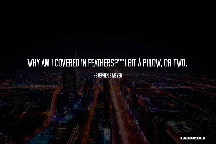 40x Escape Quotes By Stephenie Meyer 40x Escape Quotes By Stephenie Meyer