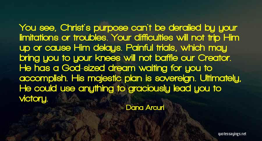 41 Inch To Cm Quotes By Dana Arcuri 41 Inch To Cm Quotes By Dana Arcuri