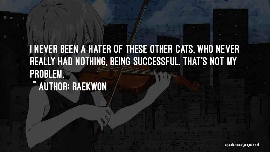Raekwon Quotes: I Never Been A Hater Of These Other Cats, Who Never Really Had Nothing, Being Successful. That's Not My Problem.