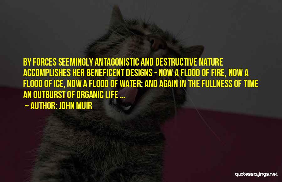 John Muir Quotes: By Forces Seemingly Antagonistic And Destructive Nature Accomplishes Her Beneficent Designs - Now A Flood Of Fire, Now A Flood
