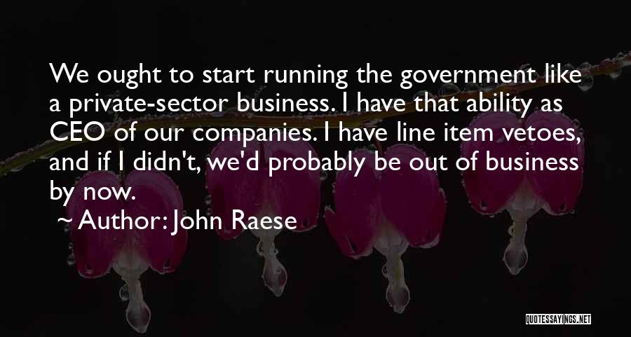 John Raese Quotes: We Ought To Start Running The Government Like A Private-sector Business. I Have That Ability As Ceo Of Our Companies.