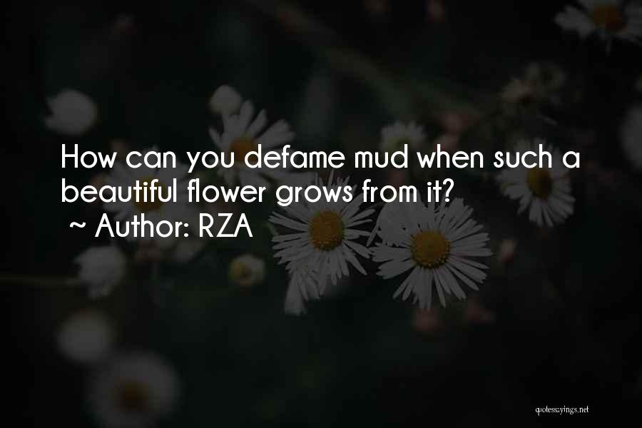 RZA Quotes: How Can You Defame Mud When Such A Beautiful Flower Grows From It?