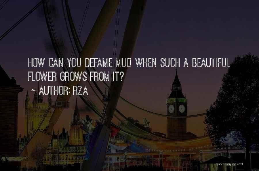 RZA Quotes: How Can You Defame Mud When Such A Beautiful Flower Grows From It?