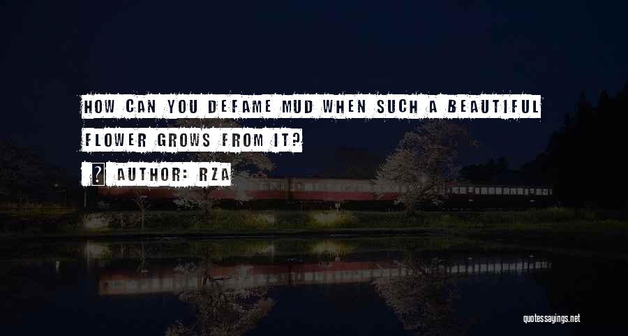 RZA Quotes: How Can You Defame Mud When Such A Beautiful Flower Grows From It?