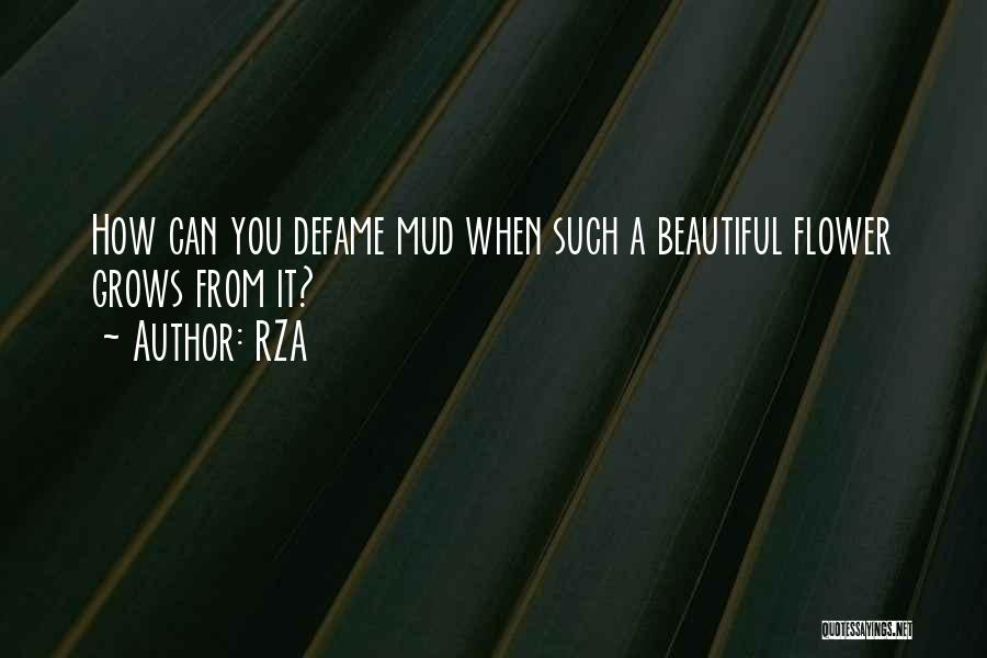 RZA Quotes: How Can You Defame Mud When Such A Beautiful Flower Grows From It?