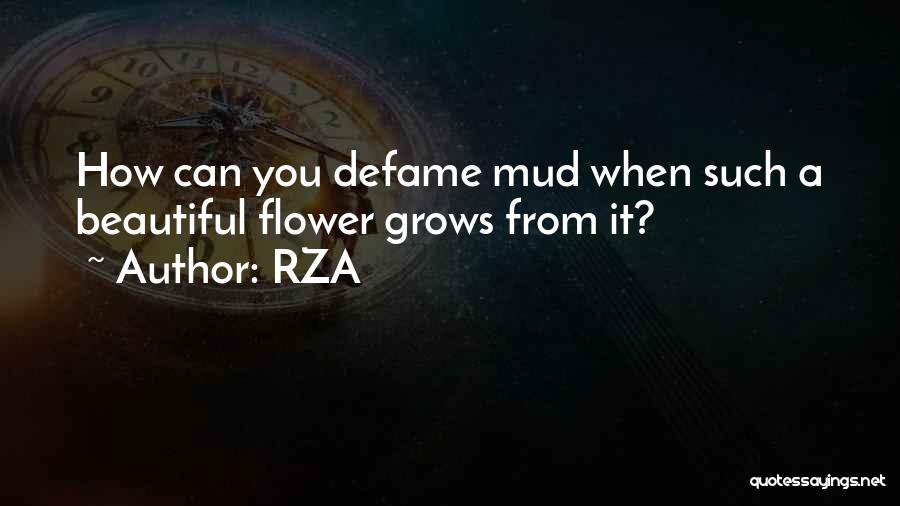 RZA Quotes: How Can You Defame Mud When Such A Beautiful Flower Grows From It?