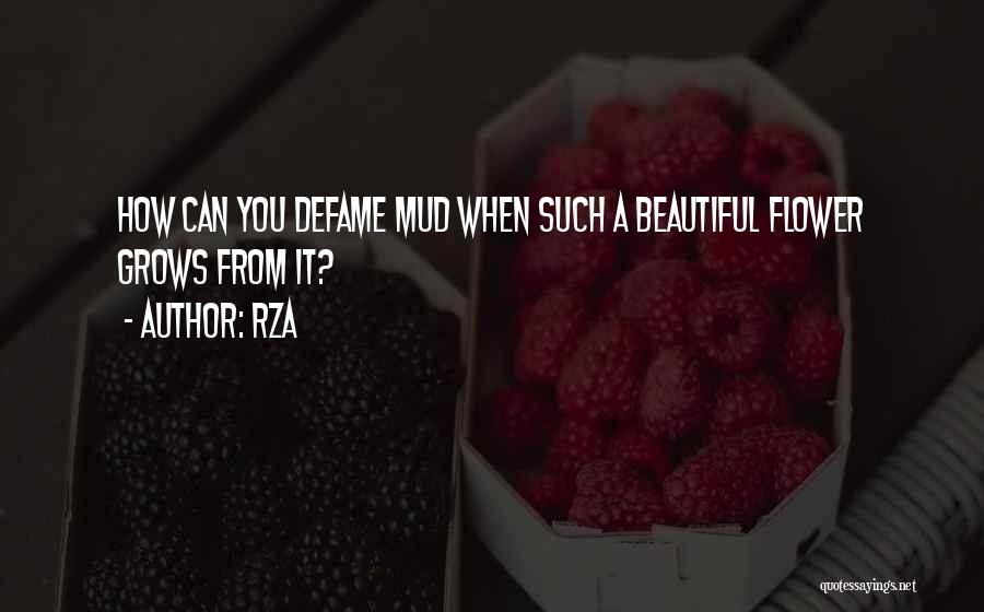 RZA Quotes: How Can You Defame Mud When Such A Beautiful Flower Grows From It?