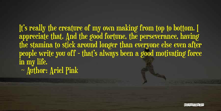Ariel Pink Quotes: It's Really The Creature Of My Own Making From Top To Bottom. I Appreciate That. And The Good Fortune, The