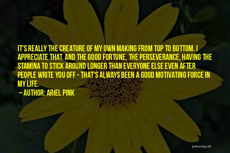 Ariel Pink Quotes: It's Really The Creature Of My Own Making From Top To Bottom. I Appreciate That. And The Good Fortune, The
