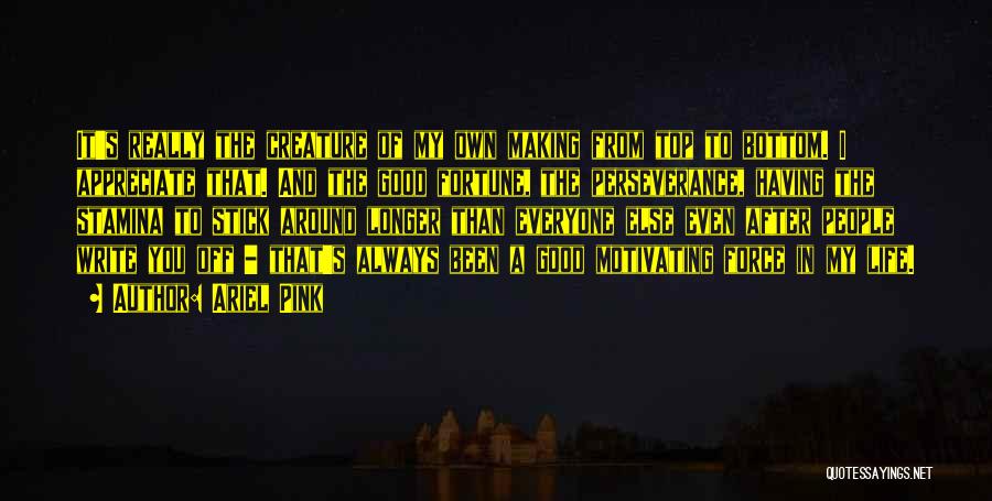 Ariel Pink Quotes: It's Really The Creature Of My Own Making From Top To Bottom. I Appreciate That. And The Good Fortune, The