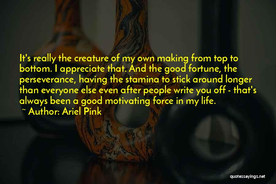 Ariel Pink Quotes: It's Really The Creature Of My Own Making From Top To Bottom. I Appreciate That. And The Good Fortune, The