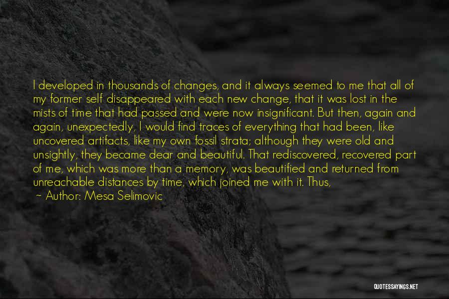 Mesa Selimovic Quotes: I Developed In Thousands Of Changes, And It Always Seemed To Me That All Of My Former Self Disappeared With