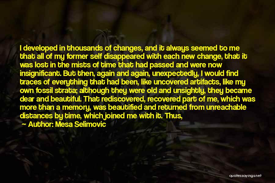 Mesa Selimovic Quotes: I Developed In Thousands Of Changes, And It Always Seemed To Me That All Of My Former Self Disappeared With