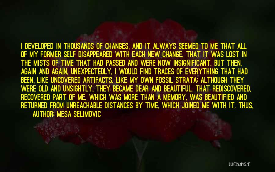 Mesa Selimovic Quotes: I Developed In Thousands Of Changes, And It Always Seemed To Me That All Of My Former Self Disappeared With