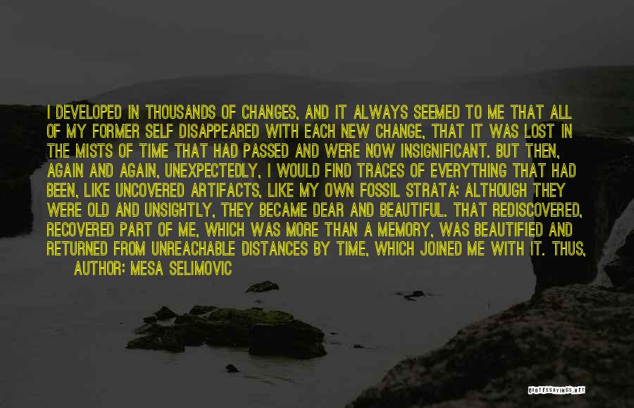 Mesa Selimovic Quotes: I Developed In Thousands Of Changes, And It Always Seemed To Me That All Of My Former Self Disappeared With