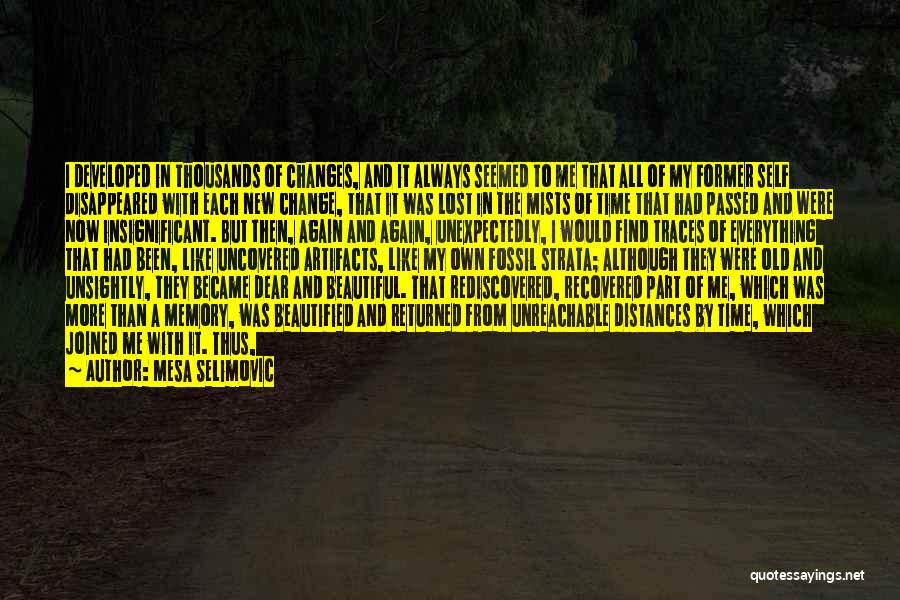 Mesa Selimovic Quotes: I Developed In Thousands Of Changes, And It Always Seemed To Me That All Of My Former Self Disappeared With