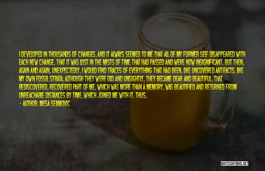 Mesa Selimovic Quotes: I Developed In Thousands Of Changes, And It Always Seemed To Me That All Of My Former Self Disappeared With
