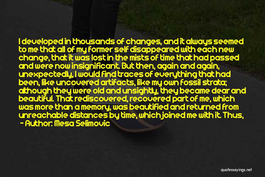 Mesa Selimovic Quotes: I Developed In Thousands Of Changes, And It Always Seemed To Me That All Of My Former Self Disappeared With