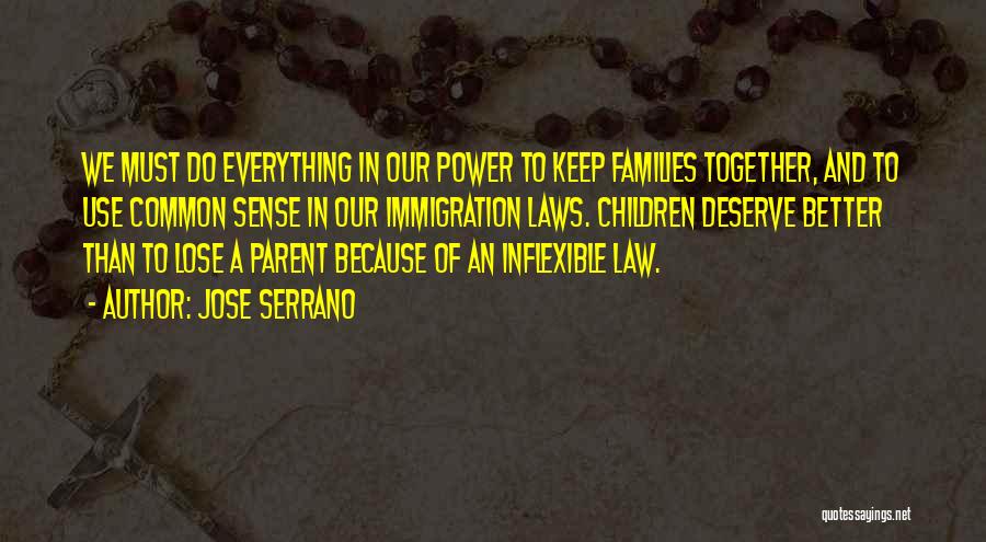 Jose Serrano Quotes: We Must Do Everything In Our Power To Keep Families Together, And To Use Common Sense In Our Immigration Laws.