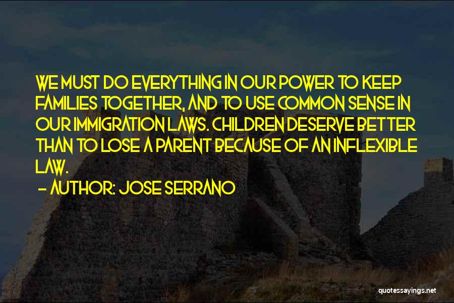 Jose Serrano Quotes: We Must Do Everything In Our Power To Keep Families Together, And To Use Common Sense In Our Immigration Laws.