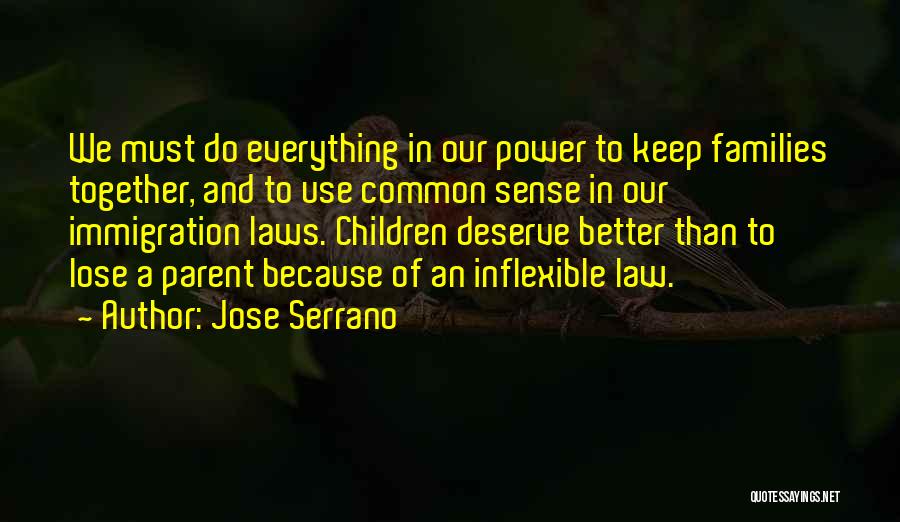 Jose Serrano Quotes: We Must Do Everything In Our Power To Keep Families Together, And To Use Common Sense In Our Immigration Laws.