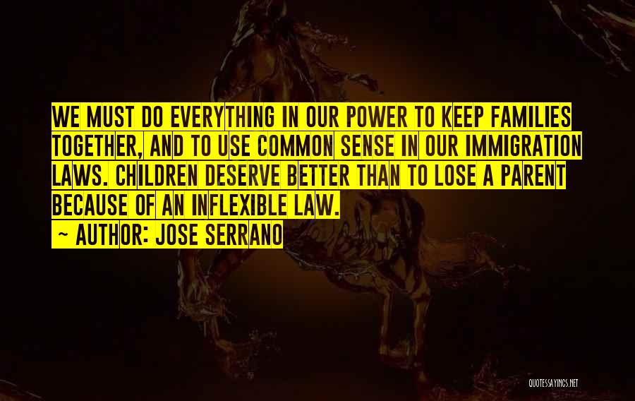 Jose Serrano Quotes: We Must Do Everything In Our Power To Keep Families Together, And To Use Common Sense In Our Immigration Laws.